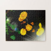 Puzzle Fleurs sauvages au soleil (Horizontal)