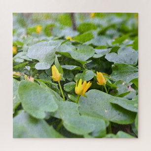 Puzzle Fleurs sauvages de la forêt – Photographie botaniq