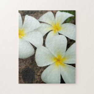 Puzzle Fleurs Tropicales Adorables Dans Le Pacifique Sud