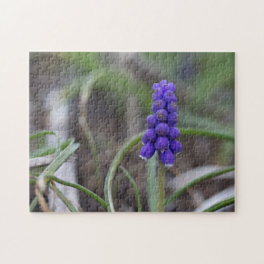 Puzzle Fleurs violettes (Horizontal)