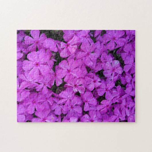 Puzzle Fleurs violettes Phlox (Horizontal)