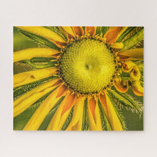 Puzzle floral (Horizontal)