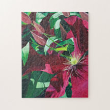 Floral de Clematis pourpre