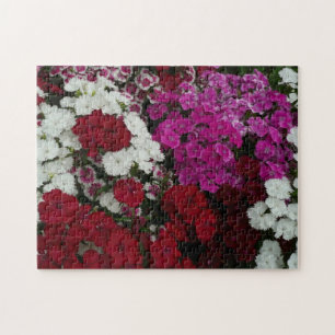 Puzzle Floral Dianthus blanc, rose et rouge