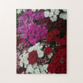 Puzzle Floral Dianthus blanc, rose et rouge (Vertical)