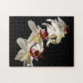 Puzzle Floral Highlights of White Phalaenopsis Orchids (Horizontal)