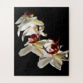 Puzzle Floral Highlights of White Phalaenopsis Orchids (Vertical)