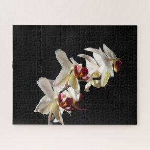 Puzzle Floral Highlights of White Phalaenopsis Orchids