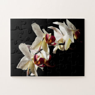 Puzzle Floral Highlights of White Phalaenopsis Orchids