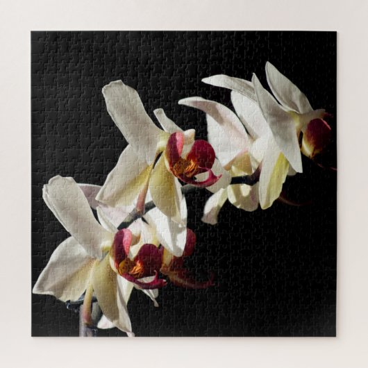 Puzzle Floral Highlights of White Phalaenopsis Orchids (Vertical)