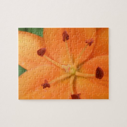 Puzzle Floral Lily orange (Horizontal)