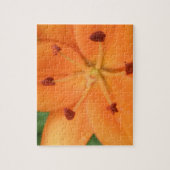 Puzzle Floral Lily orange (Vertical)