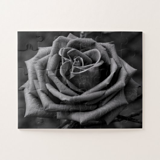 Puzzle floral rose noire et blanche (Horizontal)