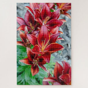 Puzzle Floral Stargazer Lily, Fleur canadienne rouge