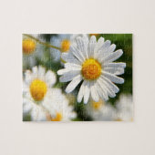 Puzzle Flore blanc de marguerite (Horizontal)