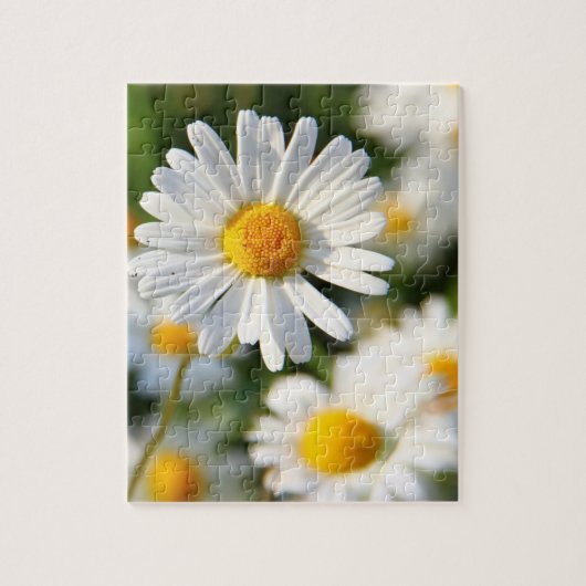 Puzzle Flore blanc de marguerite (Vertical)