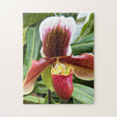 Puzzle Flore de l'orchidée rouge Lady Slipper (Vertical)