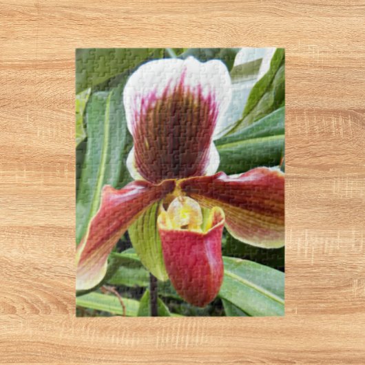 Puzzle Flore de l'orchidée rouge Lady Slipper
