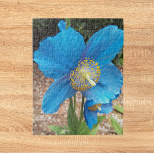 Puzzle Flore de pavot bleu de l'Himalaya