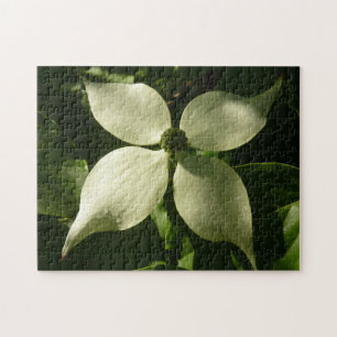 Puzzle Flore printanière du Dogwood illuminé