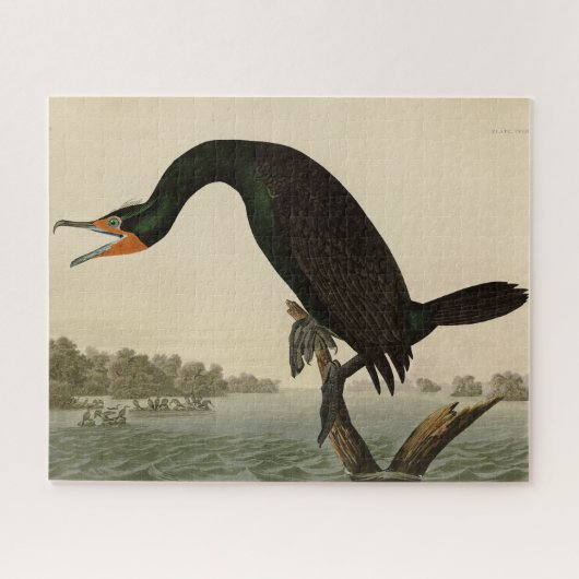 Puzzle Florida Cormorant de Audubon's Birds of America (Horizontal)