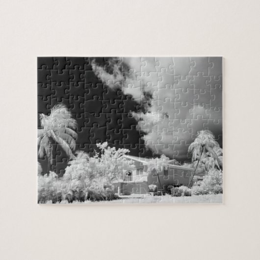 Puzzle Florida Keys maison et ses palmiers, États-Unis. (Horizontal)