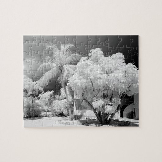 Puzzle Florida Keys maison et ses palmiers, États-Unis.2 (Horizontal)