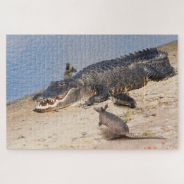 Puzzle Floride Alligator avec animaux. Buffet Alligator