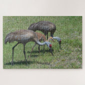 Puzzle Floride Grues Sandhill Marcher Dans Le Terrain Ver (Horizontal)