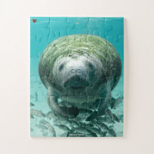 Puzzle Floride Manatee