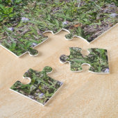 Puzzle Floride Sandhill Cranes famille photo (Côté)
