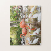 Puzzle Floride tropicale Flamants roses roses Pittoresque (Vertical)