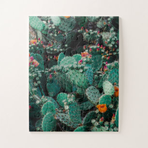 Puzzle Flowering Cactus Plants