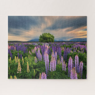 Puzzle Flowers (homonymie) Lupine Field à New Zealand