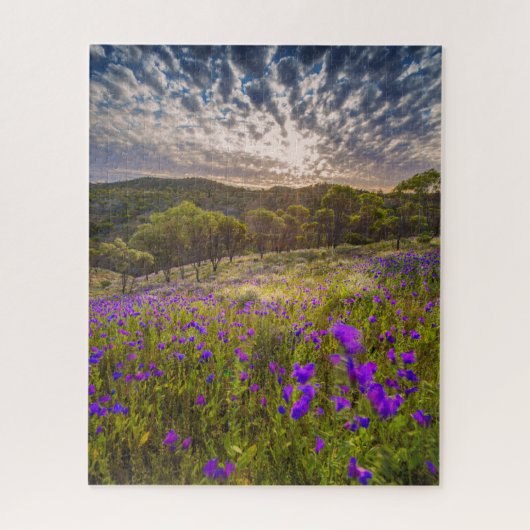 Puzzle Flowers (homonymie) | Ordre d'Australie (Vertical)