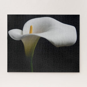 Puzzle Flowers (homonymie)   White Calla Lily