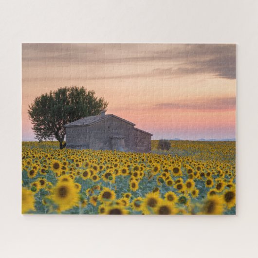 Puzzle Flowers | Sunflower Field Provence, France (Horizontal)