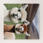 Puzzle Fluff & Friendship (Horizontal)