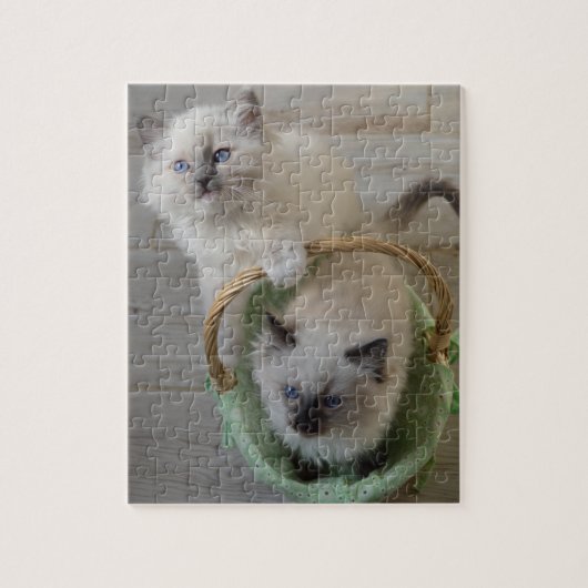 Puzzle Fluffin Ragdoll Blue Eyed Kittens (Vertical)