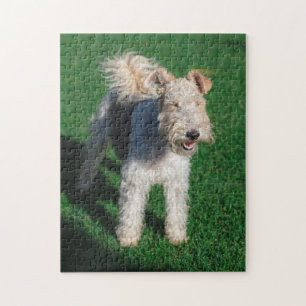 Puzzle Fluffy Airedale Welsh Terrier Type Chien Chien Chi