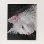 Puzzle Fluffy Blanc Maine Coon Cat (Vertical)