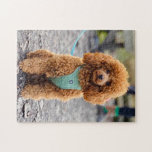 Puzzle Fluffy Brown Poodle Chien chiot (Horizontal)