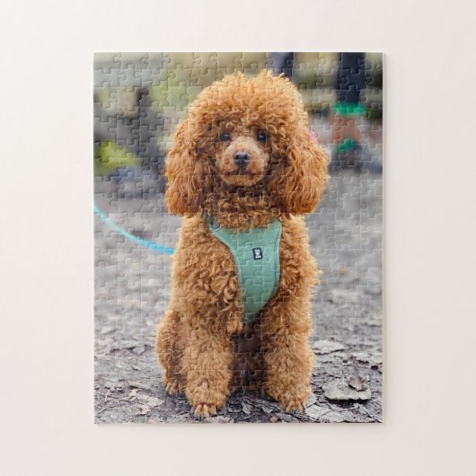 Puzzle Fluffy Brown Poodle Chien chiot (Vertical)
