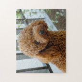 Puzzle Fluffy Brown Poodle Chien chiot (Vertical)