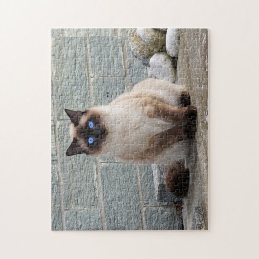 Puzzle Fluffy Chat aux yeux bleus (Vertical)