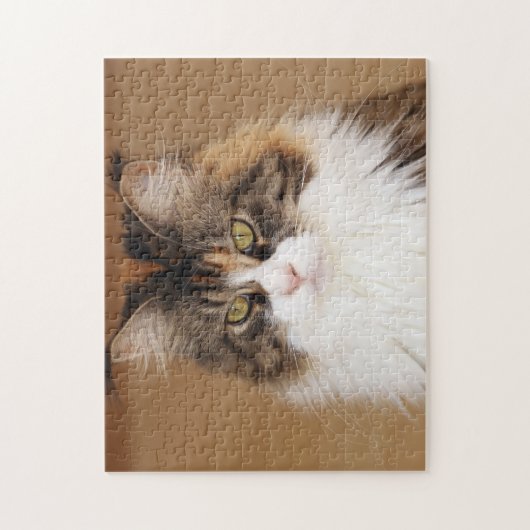 Puzzle Fluffy Maine Coon Cat (Vertical)