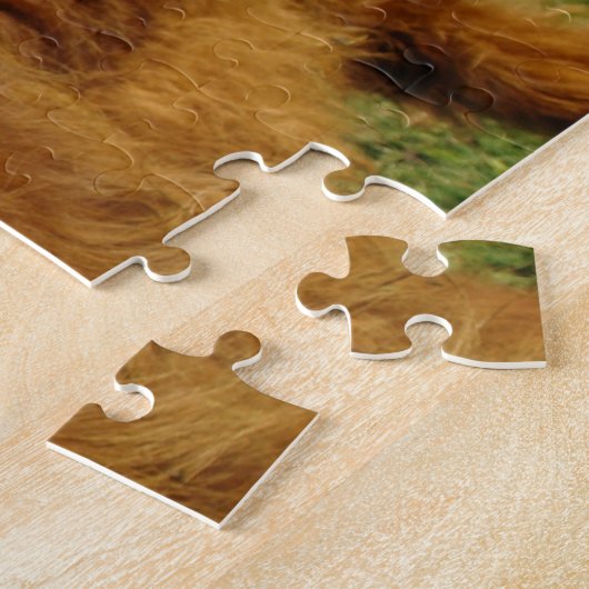 Puzzle Fluffy Scottish Highland Cow (Côté)