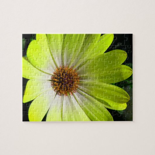 Puzzle Fluorescent Jaune africain (Horizontal)