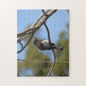 Puzzle - Flycatcher Legpuzzel (Verticaal)
