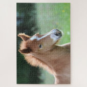 Puzzle Foie équestre (Vertical)